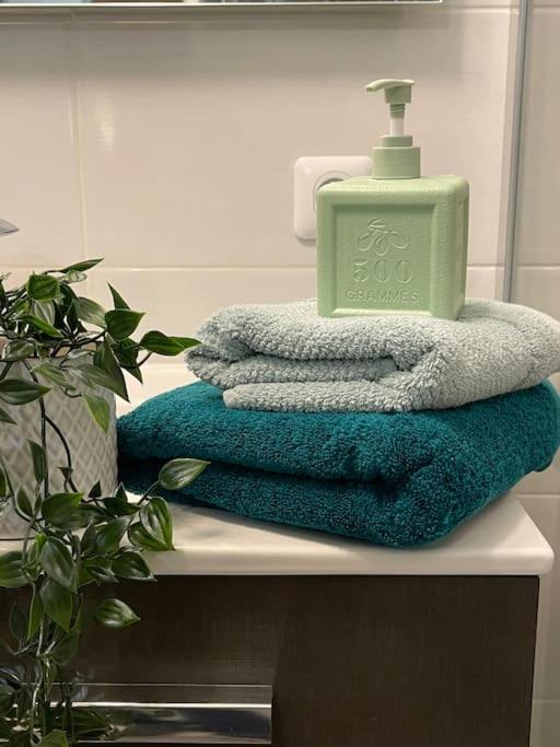 Appartement Familial 8 Personnes Proche De Disney Et Paris Шеси Экстерьер фото